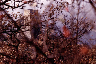 Burg Greifenstein, Österreich, 1964