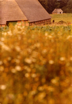 Open Air Museum Kiel, 1965