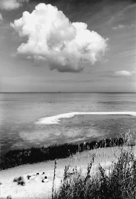 Ostseeküste bei Kiel, 1953