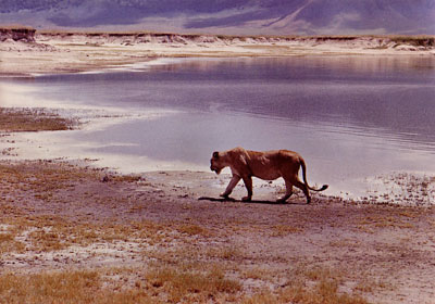 Tanzanie, 1969