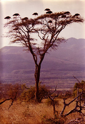 Tanzanie, 1969